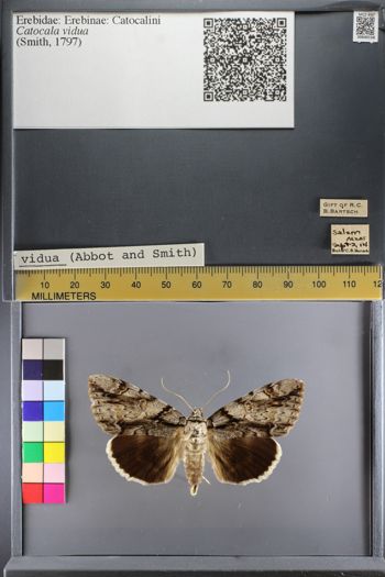 Media type: image;   Entomology 640158